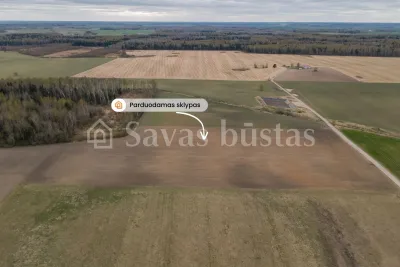 Parduodamas 209.44 a sklypas Pakruojo rajone, Minelgių k. (nuotrauka 4)