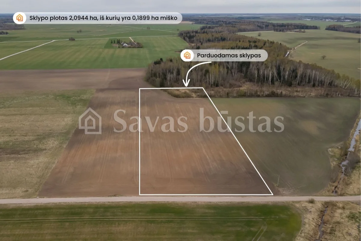 Parduodamas 209.44 a sklypas Pakruojo rajone, Minelgių k.