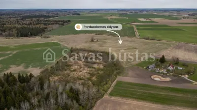 Parduodamas 1099.3 a sklypas Šiaulių rajone, Amalių k. (nuotrauka 4)