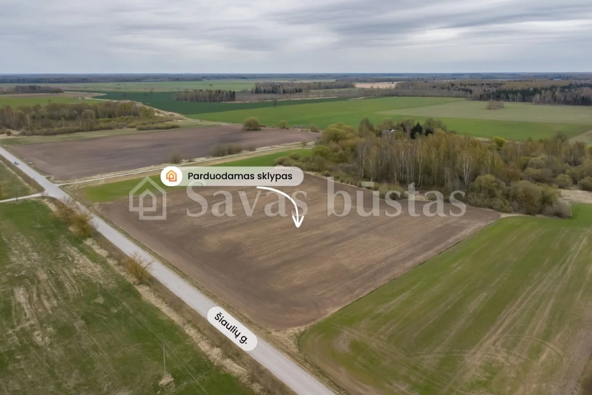 Parduodamas 241.34 a sklypas Pakruojo rajone, Šiaulių g.