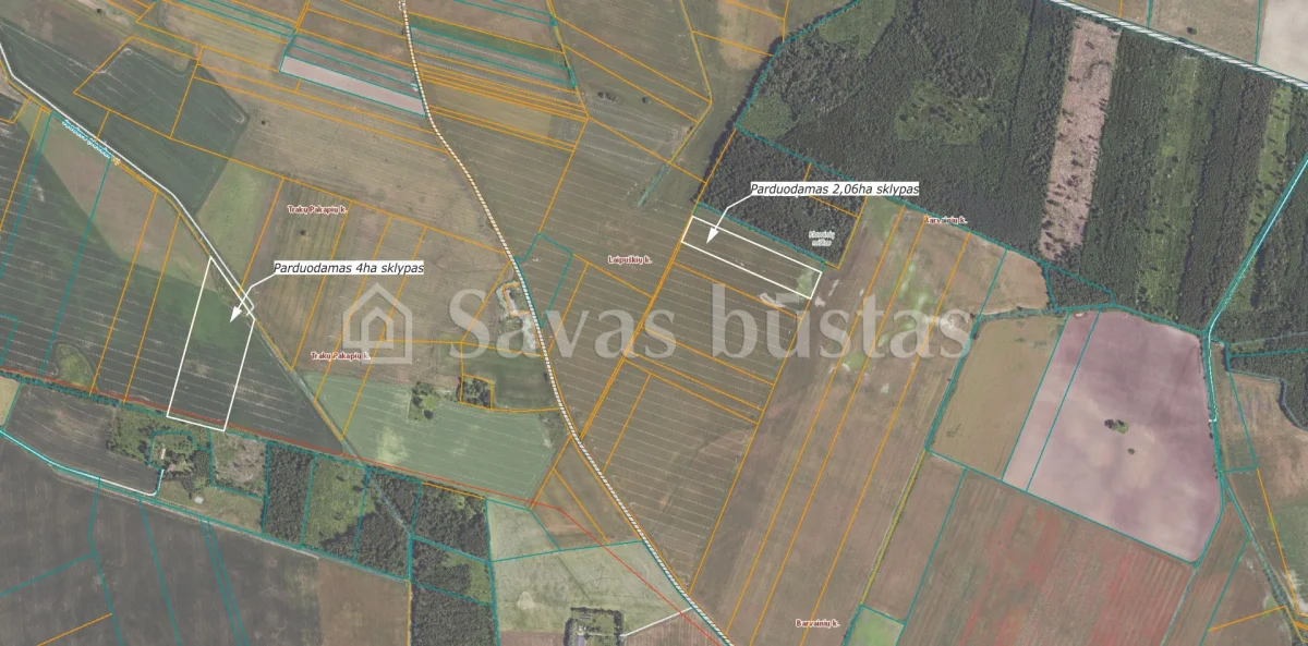 Parduodamas 606 a sklypas Pakruojo rajone, Pakalniškių k.