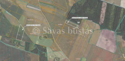 Parduodamas 606 a sklypas Pakruojo rajone, Pakalniškių k.