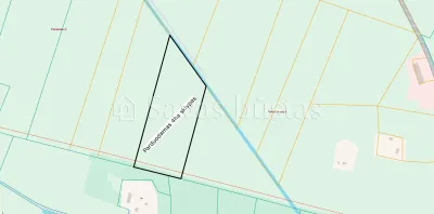 Parduodamas 606 a sklypas Pakruojo rajone, Pakalniškių k. (nuotrauka 3)
