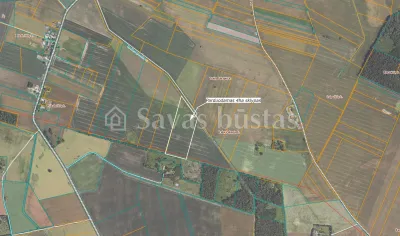 Parduodamas 606 a sklypas Pakruojo rajone, Pakalniškių k. (nuotrauka 4)