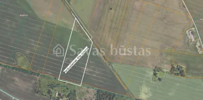 Parduodamas 606 a sklypas Pakruojo rajone, Pakalniškių k. (nuotrauka 2)
