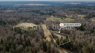 Parduodama sodyba Kelmės rajone, Gudmoniškės k. (nuotrauka 4)