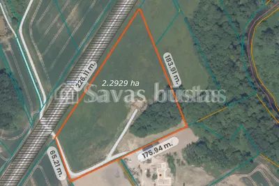 Parduodamas 229.29 a sklypas Kaišiadorių rajone, Pavuolio k. (nuotrauka 4)