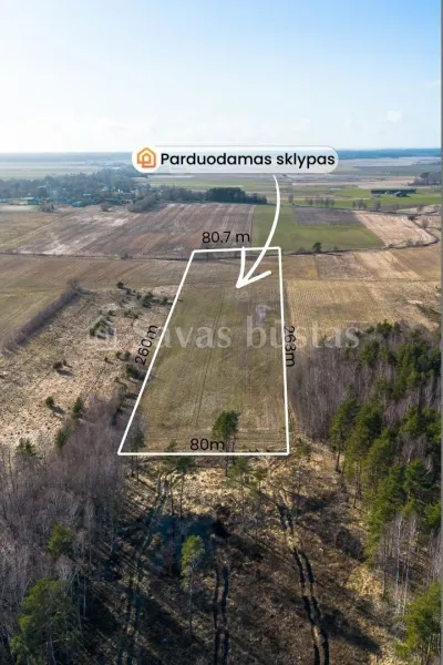 Parduodamas 202 a sklypas Kretingos rajone, Gintaro gatvė 17 A (nuotrauka 4)