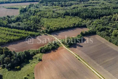 Parduodamas 650 a sklypas Kelmės rajone, Valaičių k. (nuotrauka 4)