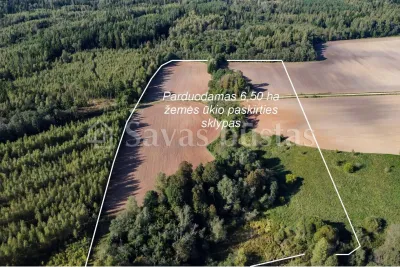 Parduodamas 650 a sklypas Kelmės rajone, Valaičių k. (nuotrauka 3)