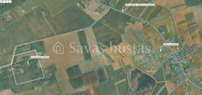 Parduodamas 1983 a sklypas Šiaulių rajone, Viliočių k. (nuotrauka 4)