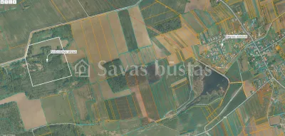 Parduodamas 1983 a sklypas Šiaulių rajone, Viliočių k. (nuotrauka 3)
