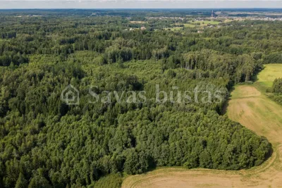 Parduodamas 3782 a sklypas Telšių rajone, Užgirių k. (nuotrauka 3)
